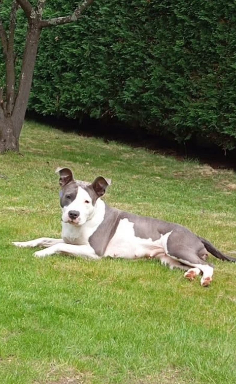 WhatsApp Imagevztv 2026-02-20 at 09.43.35.jpeg